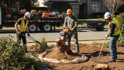 Los Angeles tree crew removing overgrown shrubs for safe, efficient shrub removal service