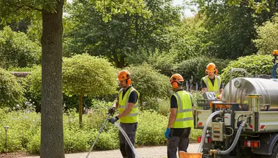 Tree fertilization service in Los Angeles, CA by Arbor Tree Care for healthy, thriving trees