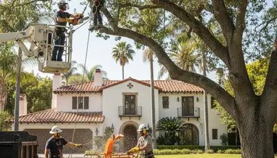 Tree service crew trimming and removing trees in Los Angeles, CA for safe, professional property care