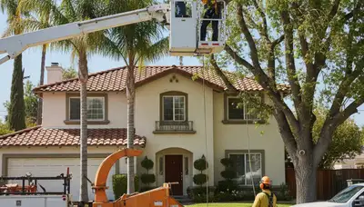 Tree service team in Los Angeles, CA providing professional tree removal and trimming services