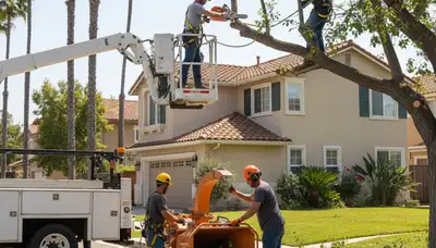 Los Angeles, CA tree service crew removing a tree for safe, professional arbor care