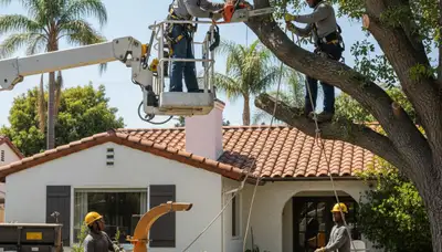 Tree service crew in Los Angeles, CA providing professional tree removal and trimming services