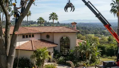 Tree service crew in Los Angeles, CA removing a tree for safe residential property maintenance