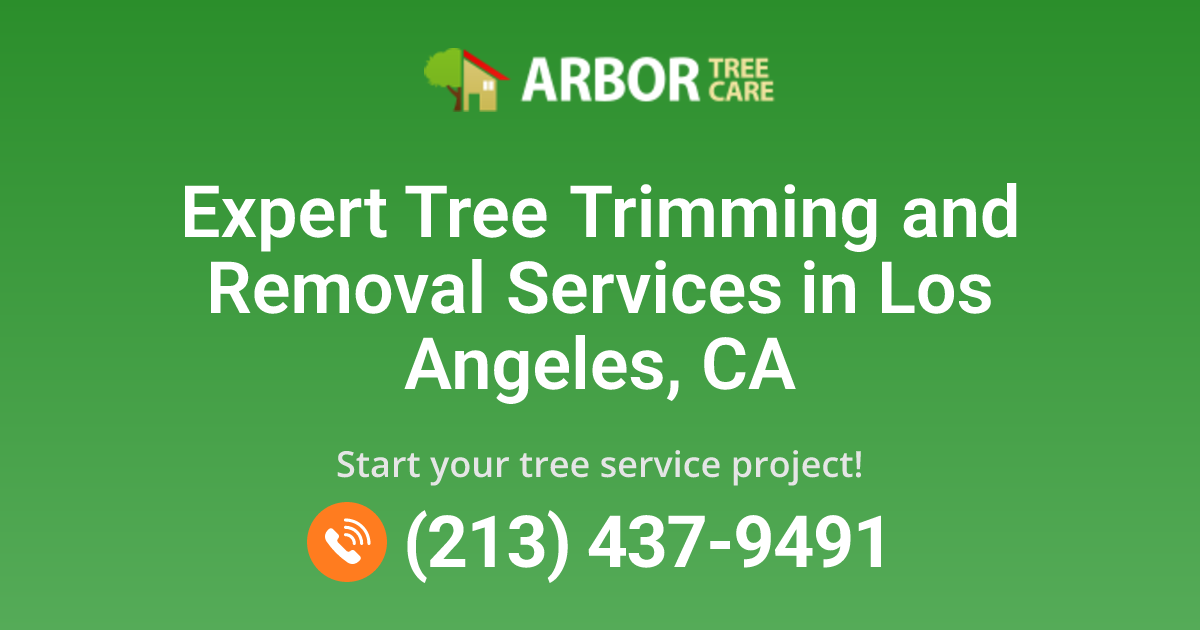 Tree Service Company in Los Angeles, CA | Arbor Tree Care